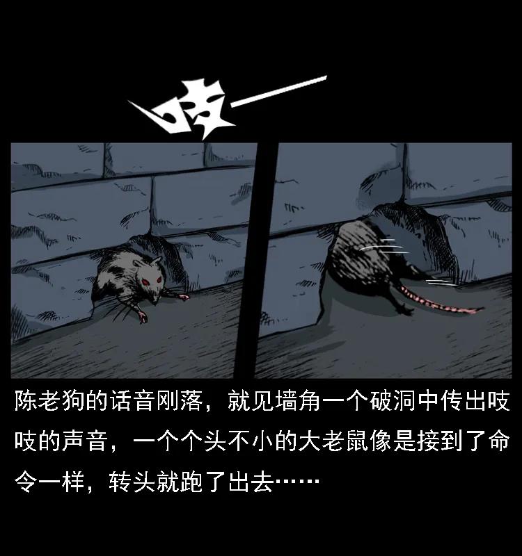 40.jpg