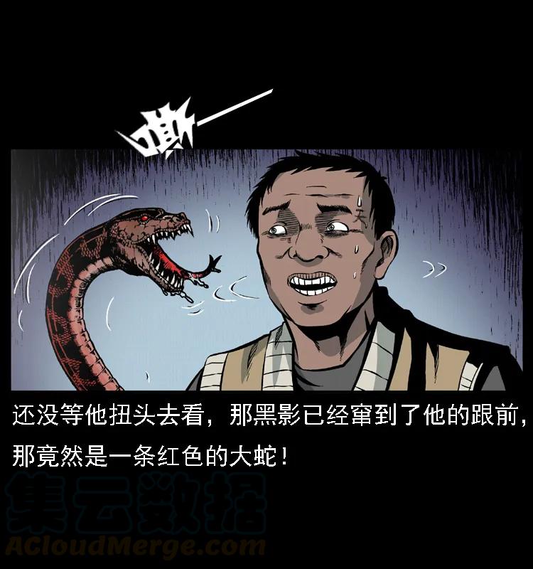 57.jpg