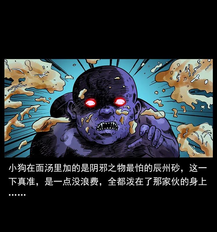 51.jpg