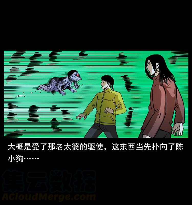 81.jpg