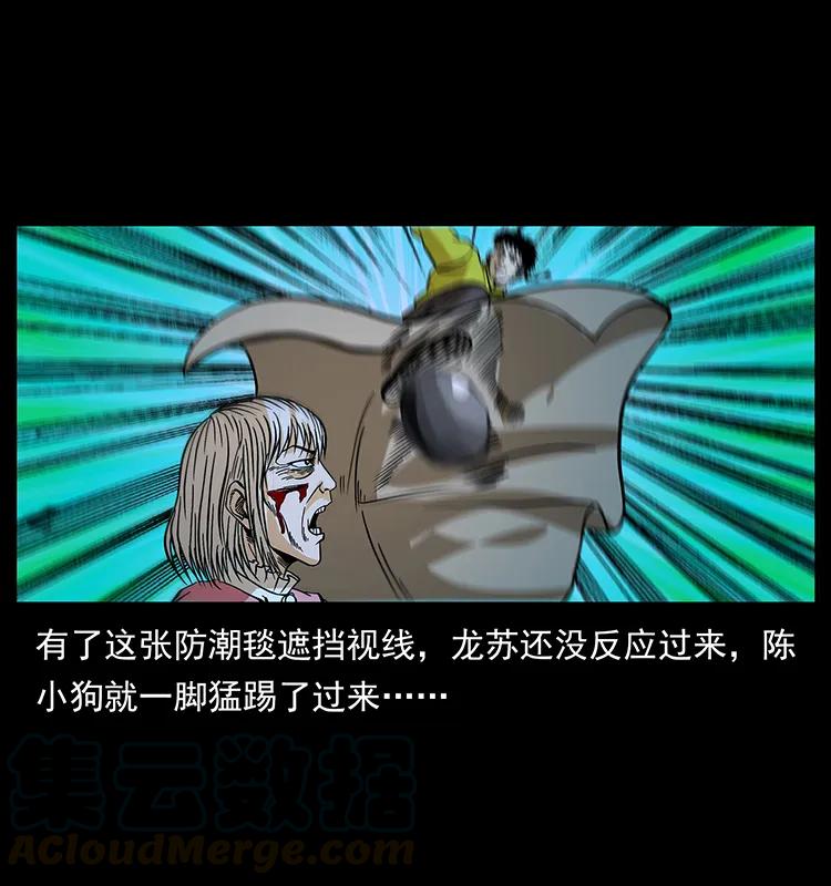 41.jpg