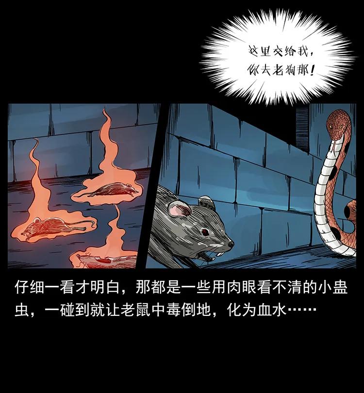 34.jpg