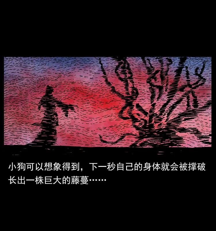 88.jpg