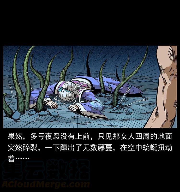 53.jpg