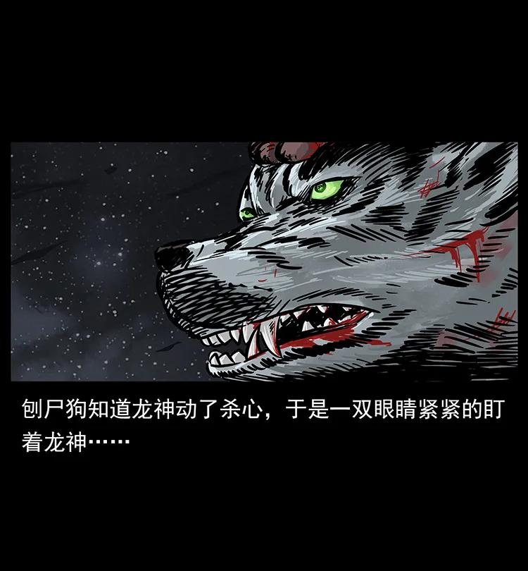 78.jpg