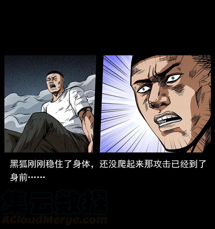 29.jpg
