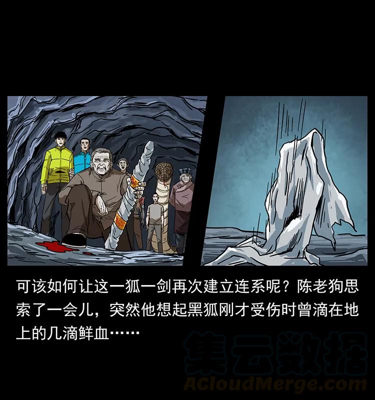 77.jpg