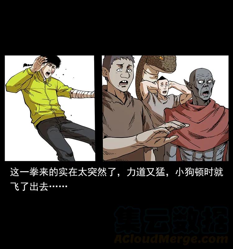 20.jpg