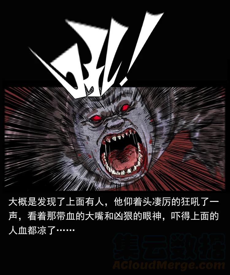 61.jpg