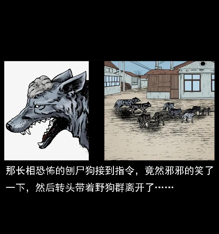 58.jpg