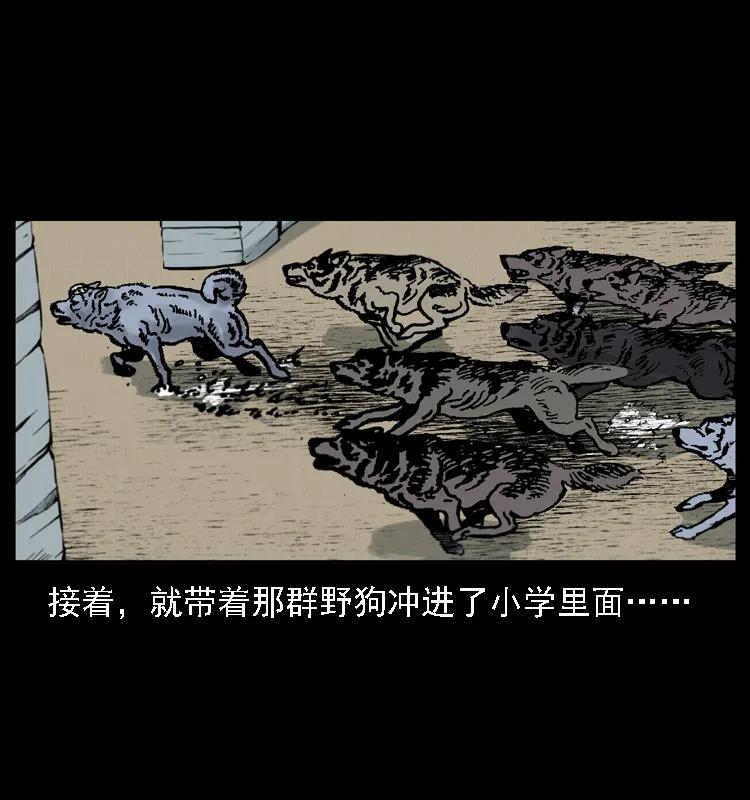 46.jpg