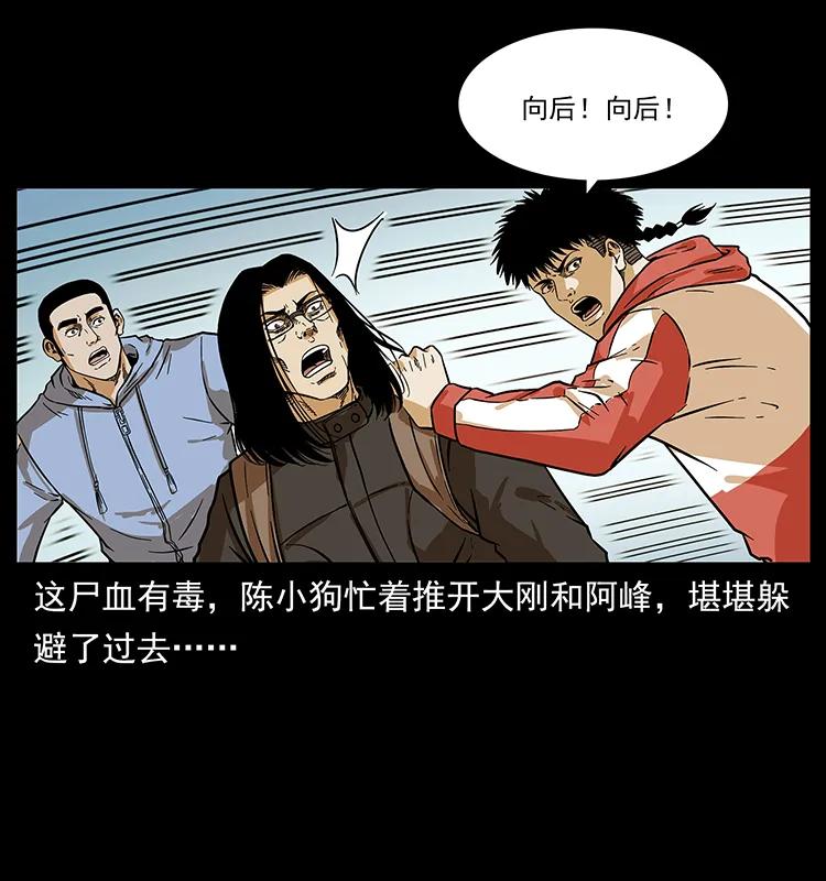 15.jpg