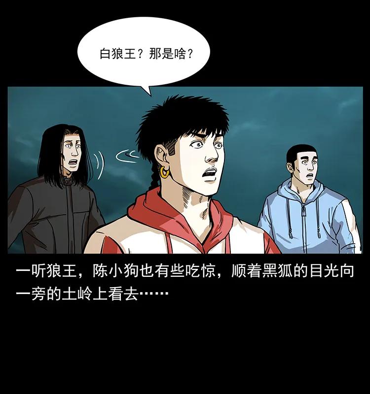 78.jpg