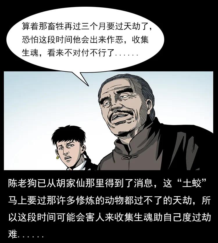 75.jpg