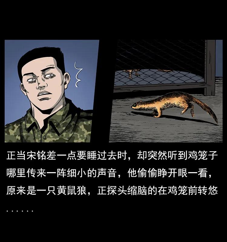 27.jpg