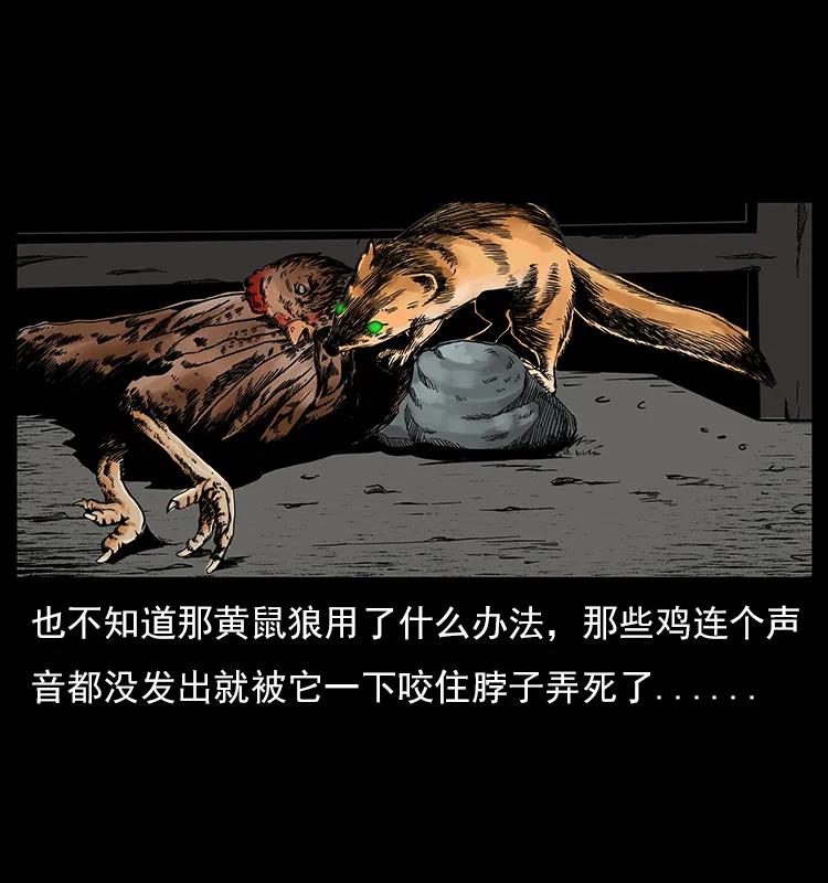 28.jpg