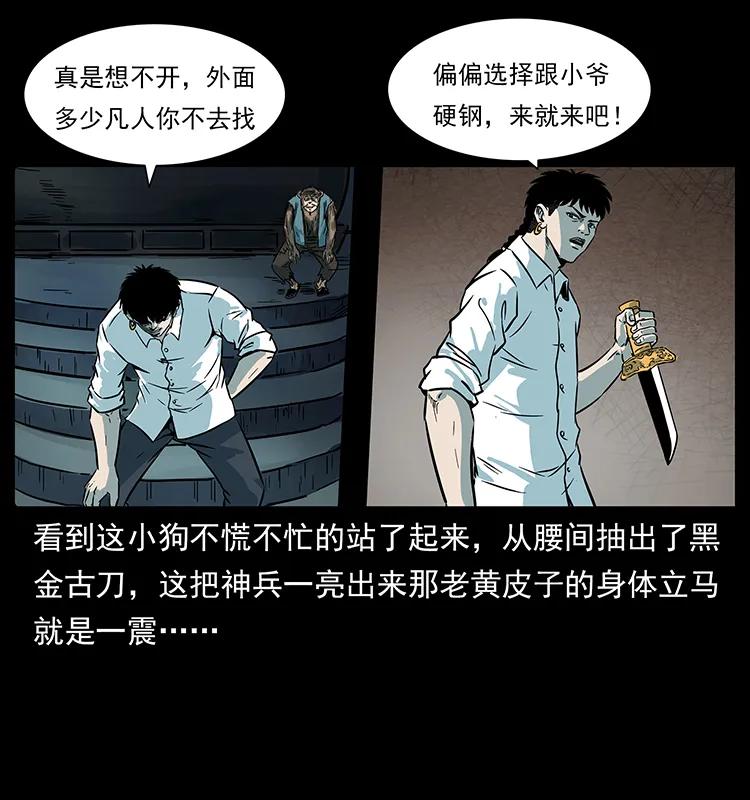 84.jpg