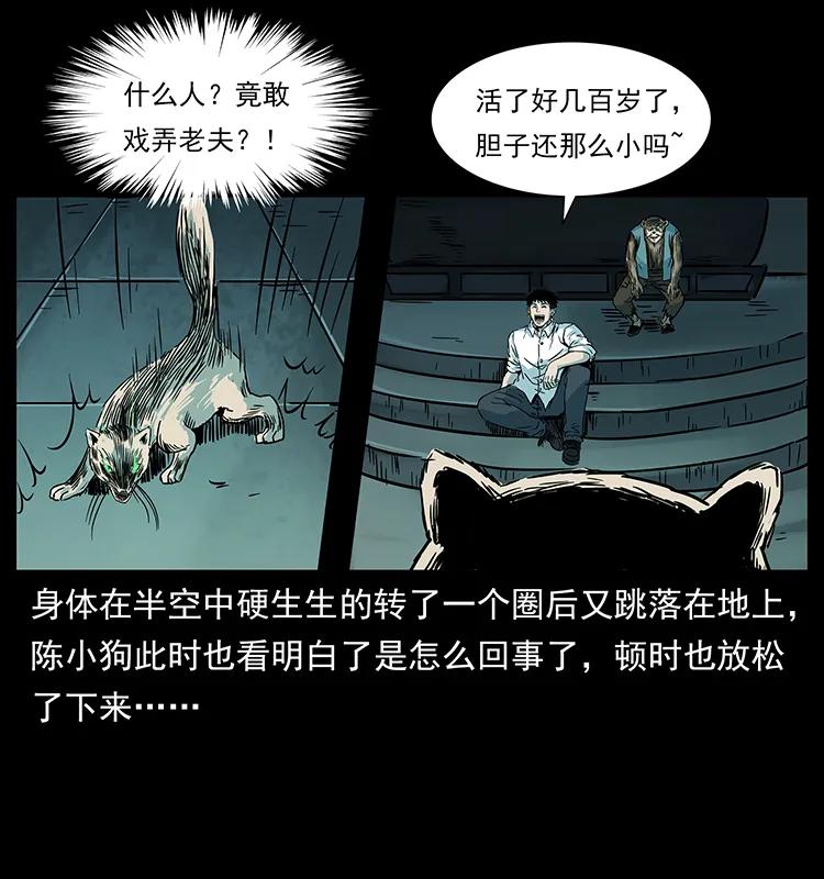 80.jpg