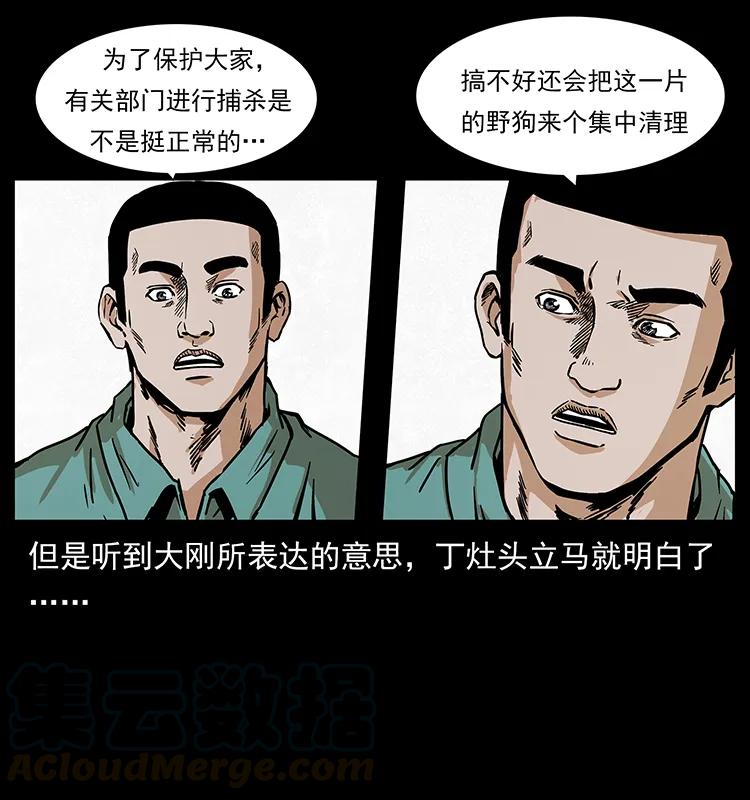 53.jpg