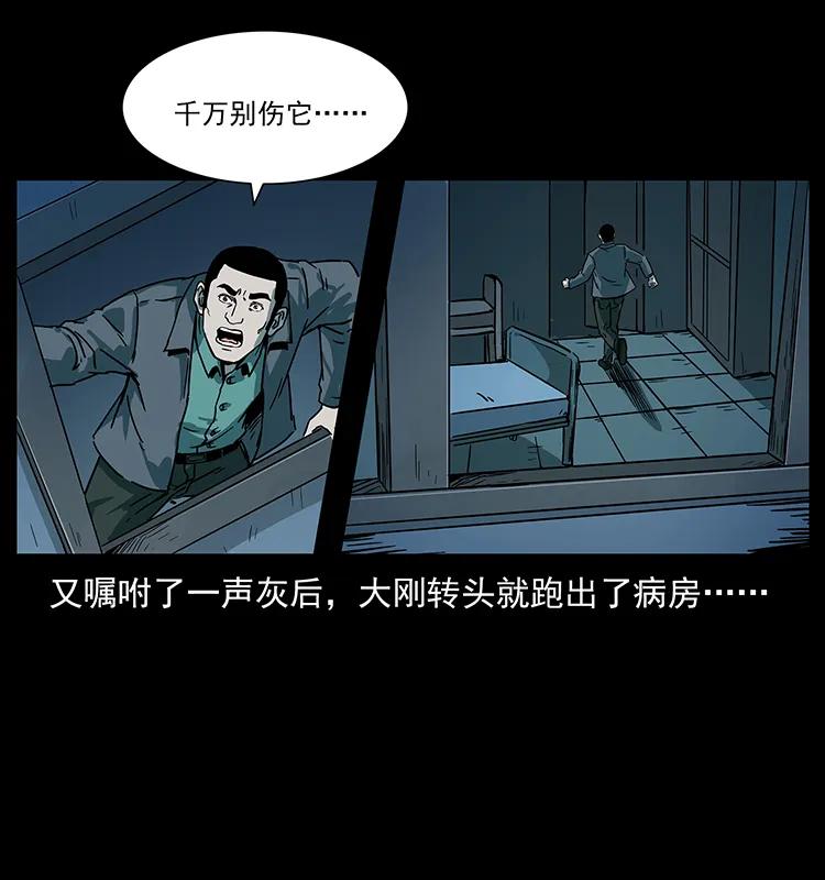 84.jpg