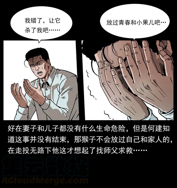 49.jpg