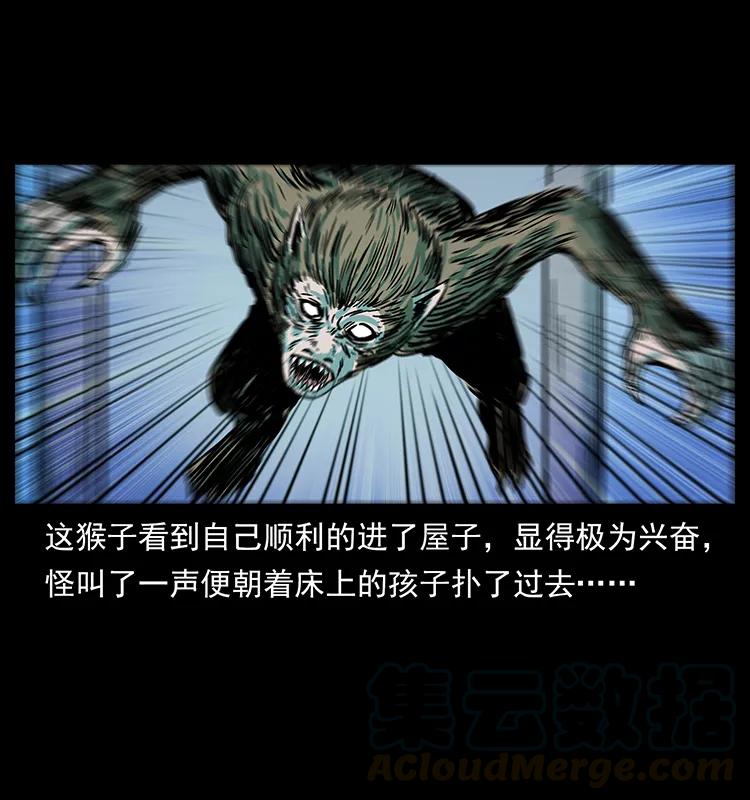 65.jpg