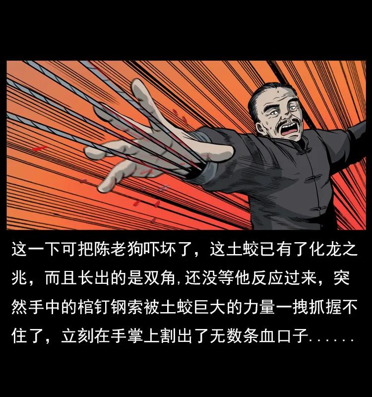 48.jpg