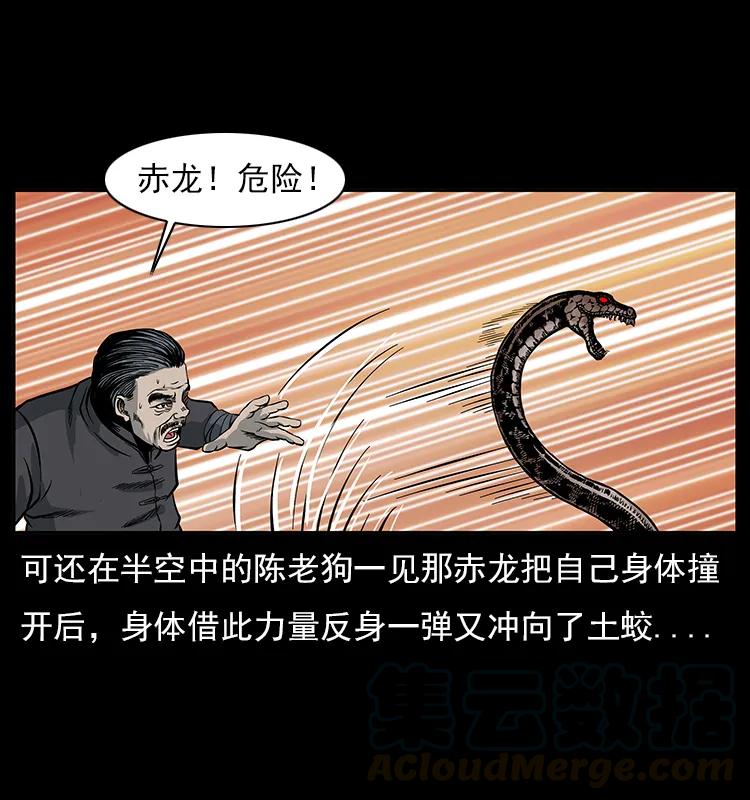 53.jpg