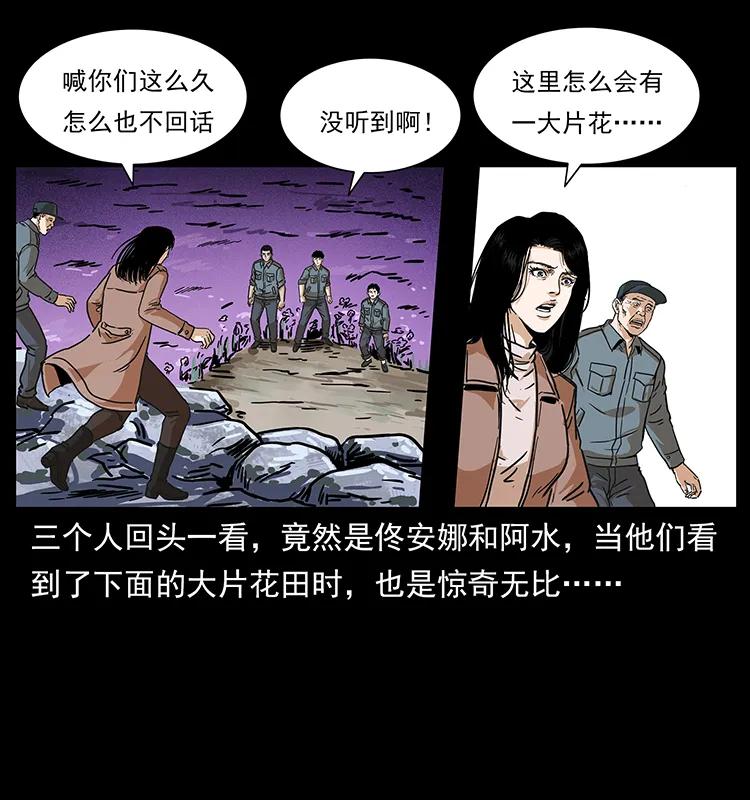 75.jpg
