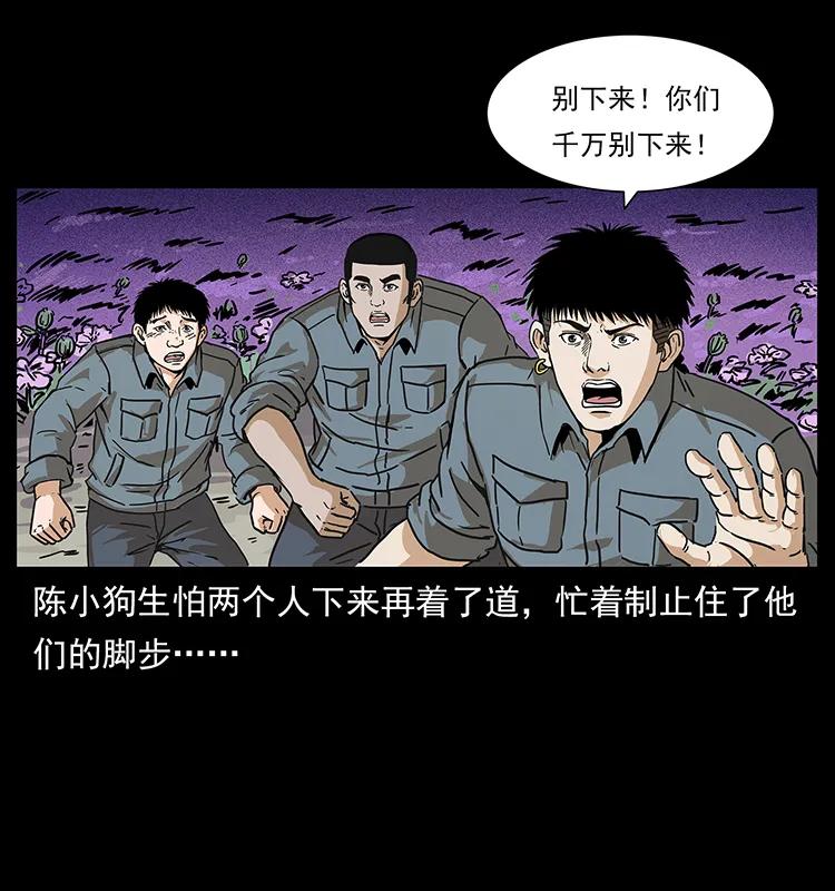 76.jpg