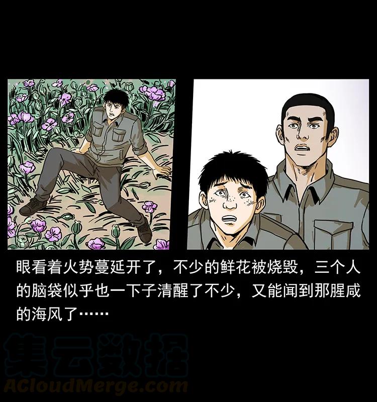 73.jpg