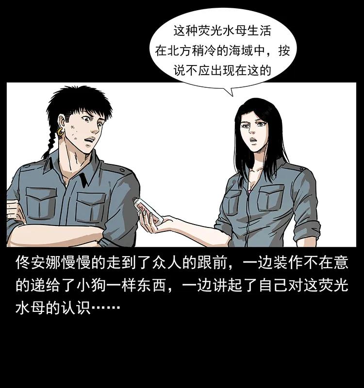 47.jpg