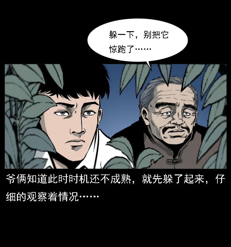 26.jpg