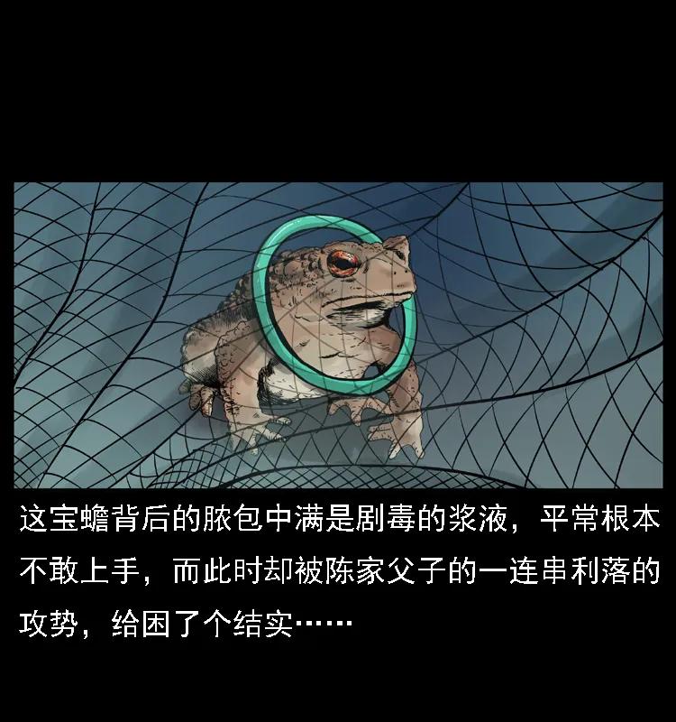 35.jpg