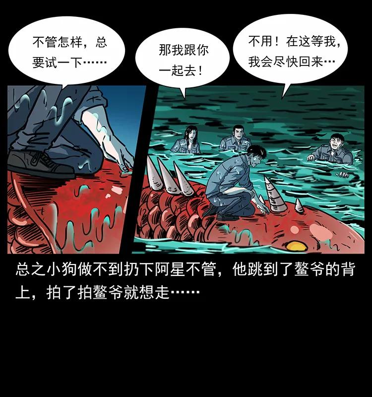 48.jpg
