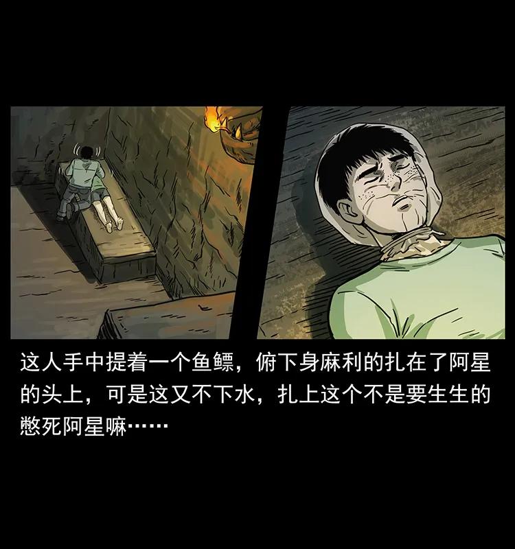 46.jpg