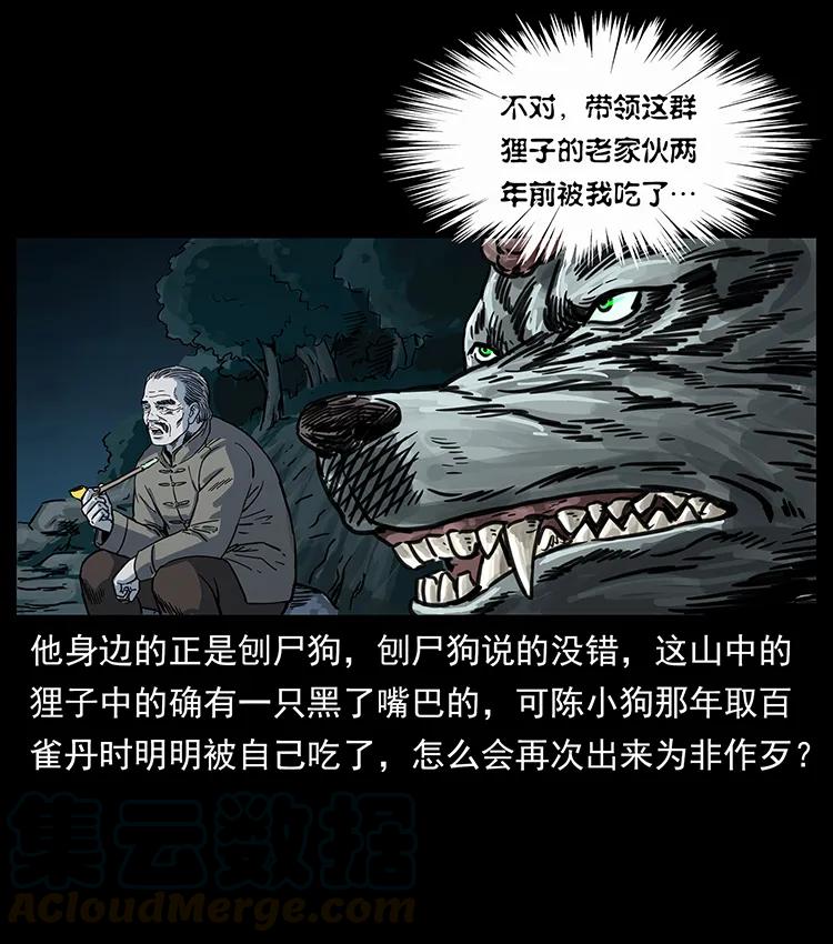 73.jpg