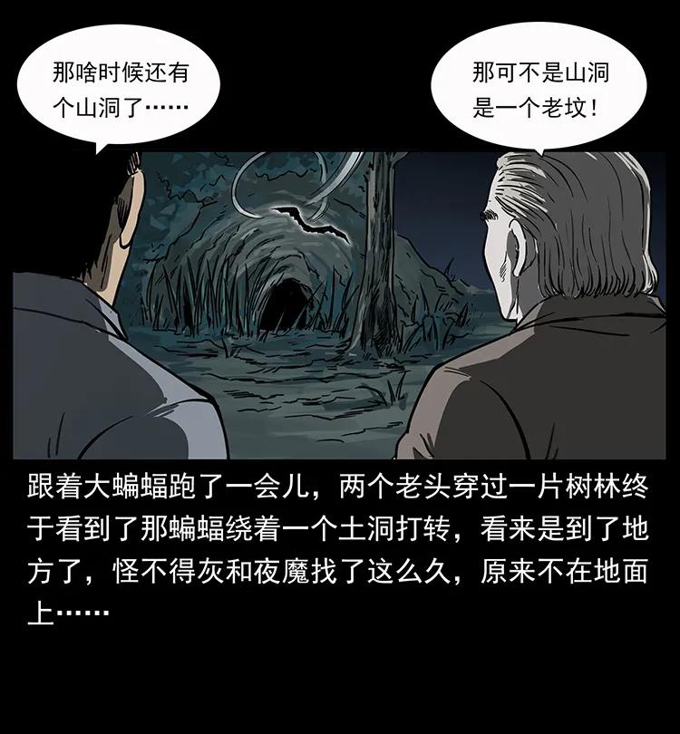 47.jpg