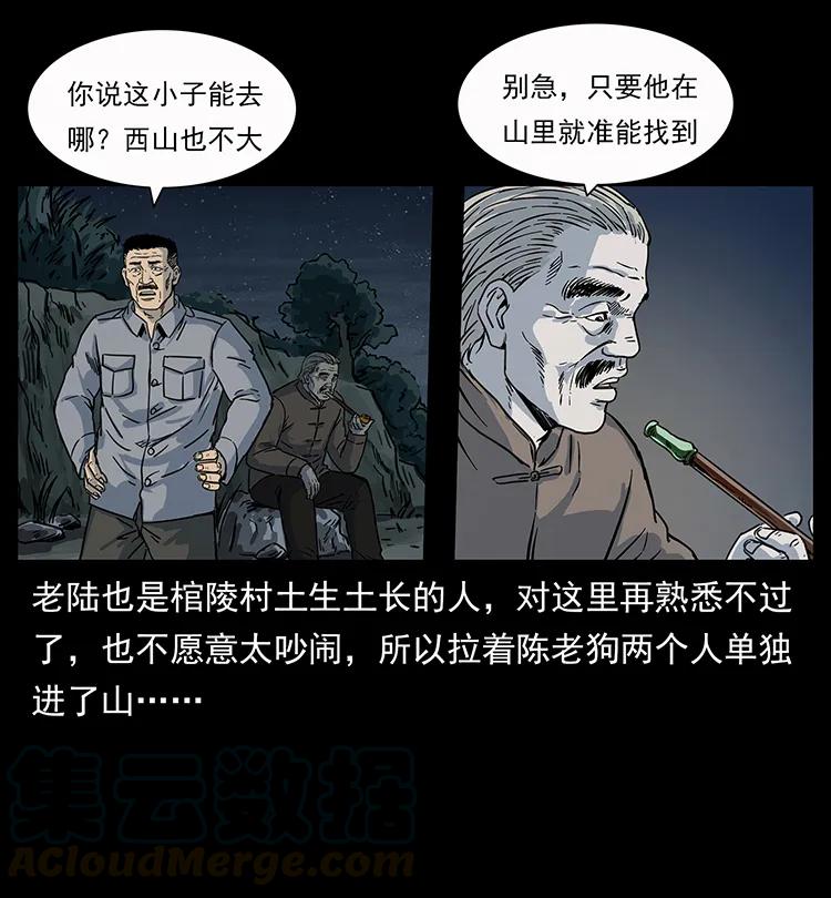 41.jpg