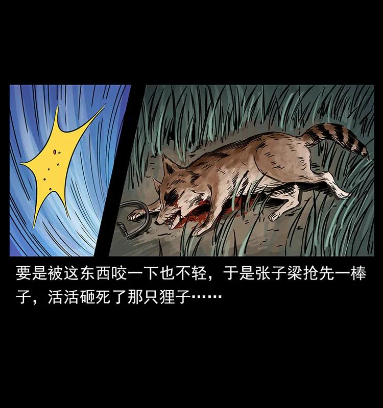 18.jpg