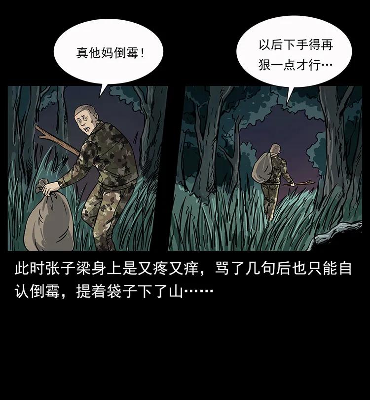 27.jpg
