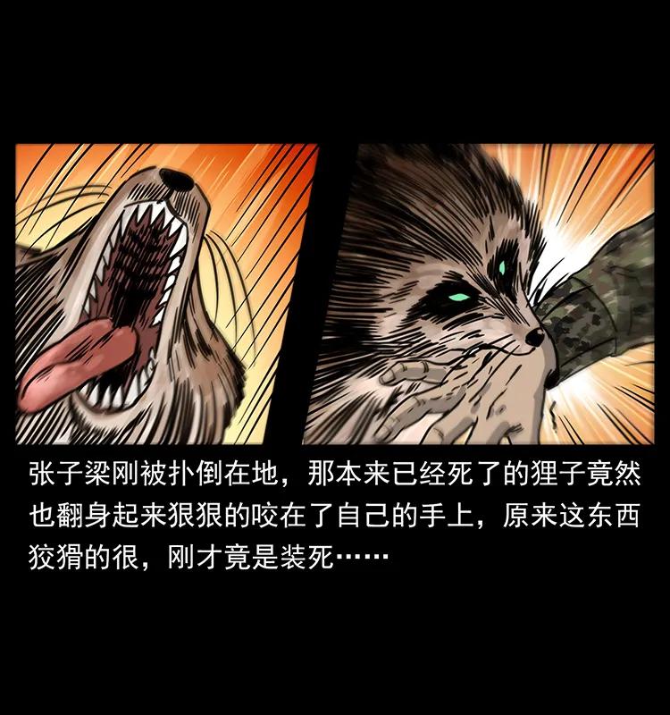 22.jpg