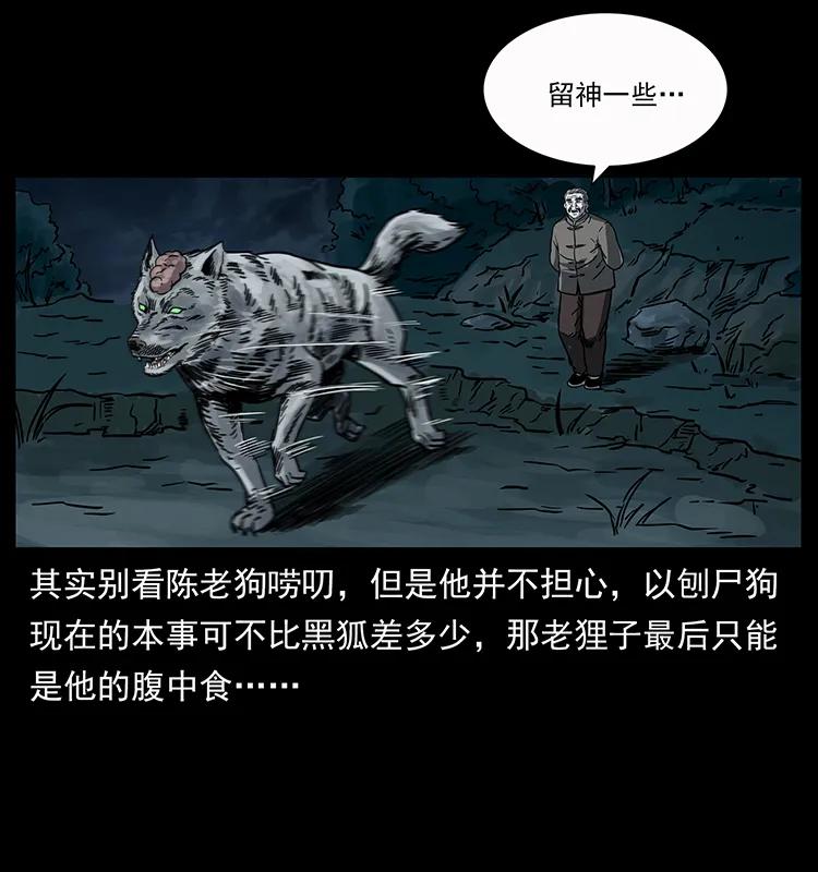 79.jpg