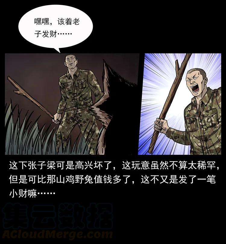 17.jpg