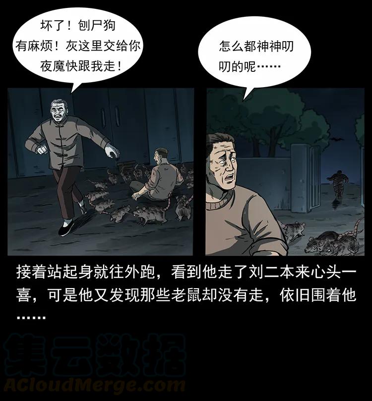 61.jpg