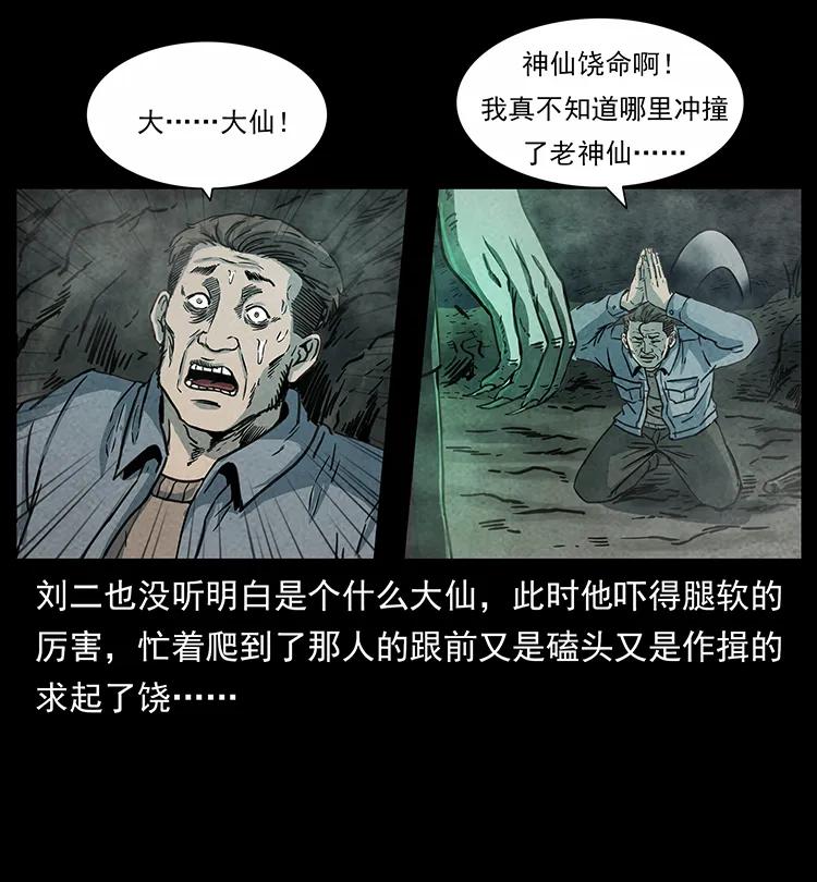 51.jpg