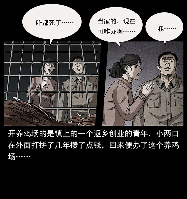 30.jpg