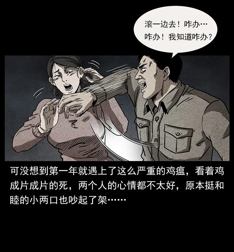 31.jpg