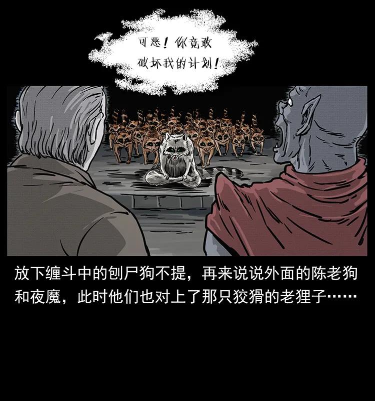 62.jpg