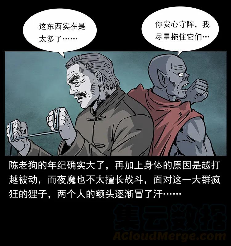 73.jpg